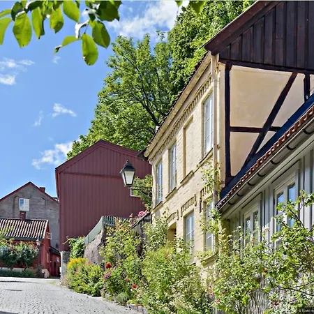 Beautiful Downtown In Apartman